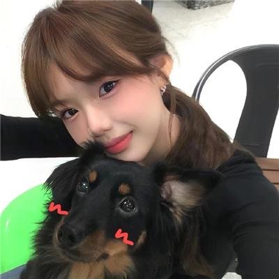 燕子盗