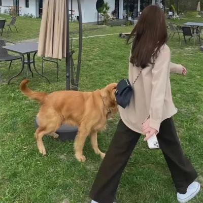 阿班与裘迪